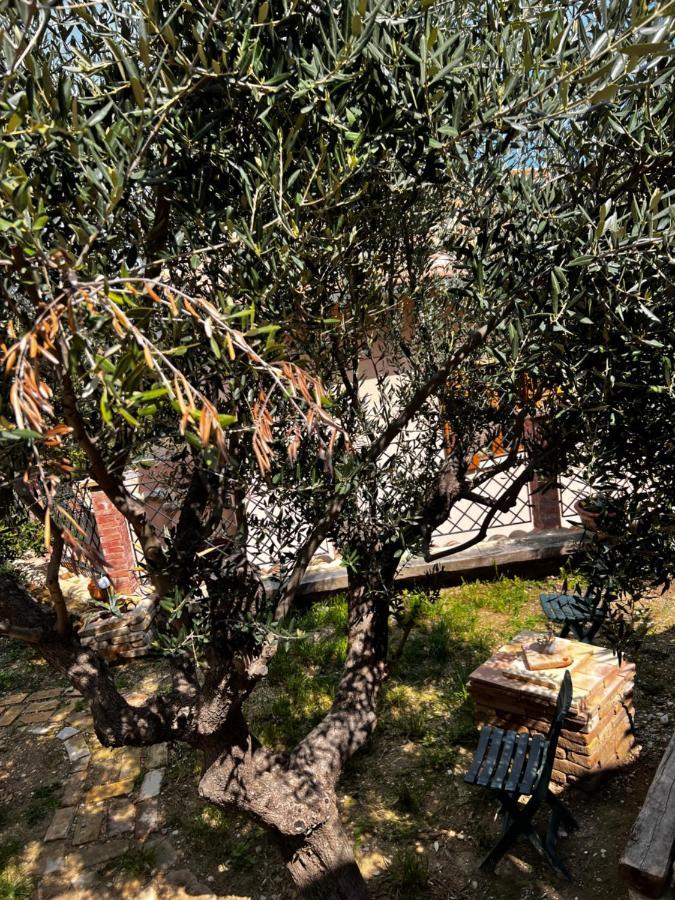 Zanna Casa Vacanza Grottammare Luaran gambar