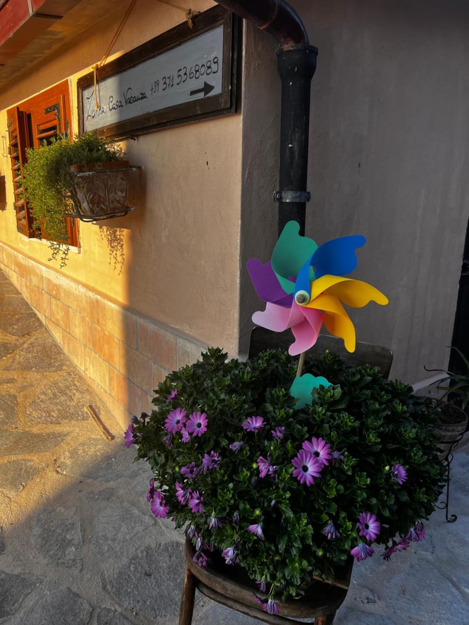 Zanna Casa Vacanza Grottammare Luaran gambar